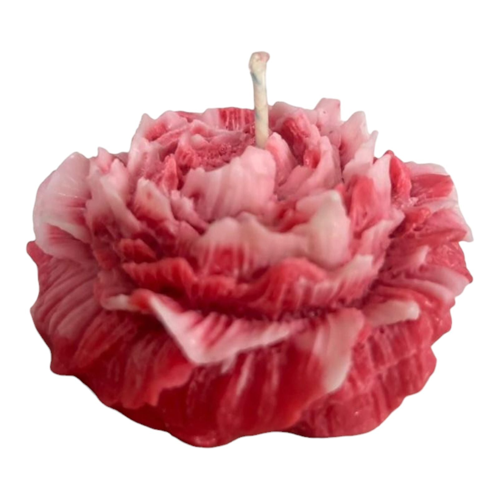 Peonia